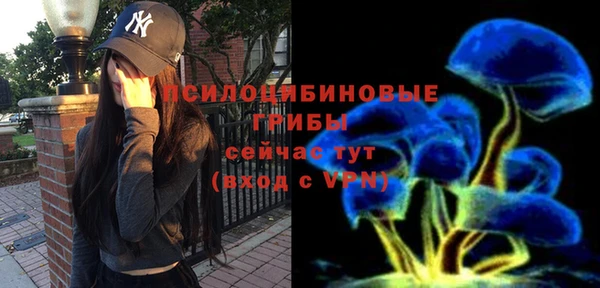 спиды Медвежьегорск