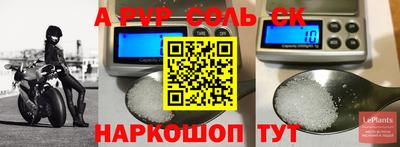 герыч Кингисепп