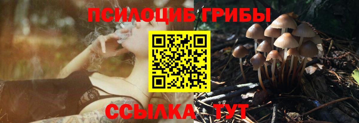 Псилоцибиновые грибы MAGIC MUSHROOMS  Псилоцибиновые грибы Magic Shrooms  Самара  Вход с VPN 